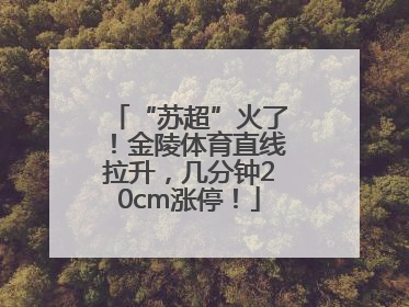 “苏超”火了！金陵体育直线拉升，几分钟20cm涨停！
