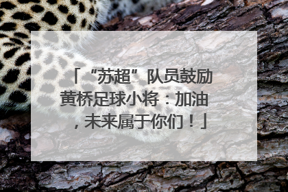 “苏超”队员鼓励黄桥足球小将：加油，未来属于你们！