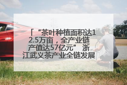 “茶叶种植面积达12.5万亩，全产业链产值达57亿元” 浙江武义茶产业全链发展“加速度”