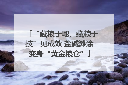 “藏粮于地、藏粮于技”见成效 盐碱滩涂变身“黄金粮仓”