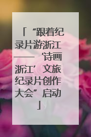 “跟着纪录片游浙江——‘诗画浙江’文旅纪录片创作大会”启动