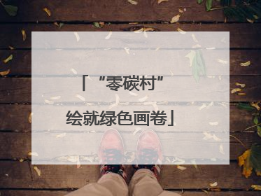 “零碳村” 绘就绿色画卷