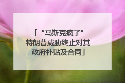 “马斯克疯了” 特朗普威胁终止对其政府补贴及合同