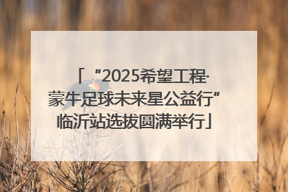 “2025希望工程·蒙牛足球未来星公益行”临沂站选拔圆满举行