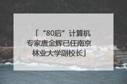 “80后”计算机专家唐金辉已任南京林业大学副校长