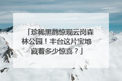 珍稀黑鹳惊现云岗森林公园！丰台这片宝地藏着多少惊喜？