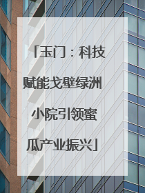 玉门：科技赋能戈壁绿洲 小院引领蜜瓜产业振兴