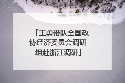 王勇带队全国政协经济委员会调研组赴浙江调研