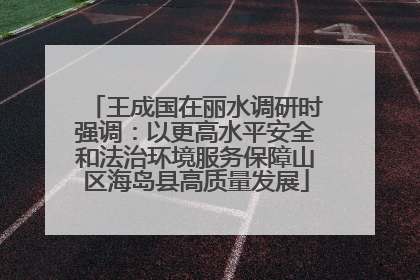 王成国在丽水调研时强调：以更高水平安全和法治环境服务保障山区海岛县高质量发展