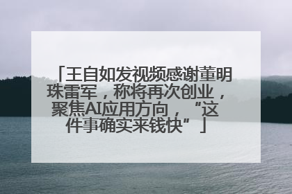 王自如发视频感谢董明珠雷军，称将再次创业，聚焦AI应用方向，“这件事确实来钱快”
