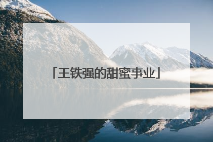 王铁强的甜蜜事业