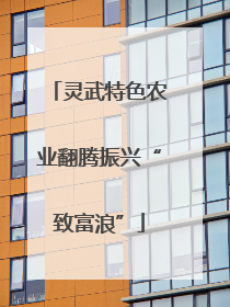 灵武特色农业翻腾振兴“致富浪”