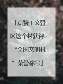 点赞！文登区这个村获评“全国文明村”荣誉称号