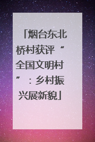 烟台东北桥村获评“全国文明村”：乡村振兴展新貌