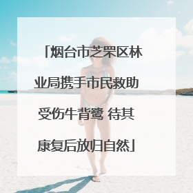 烟台市芝罘区林业局携手市民救助受伤牛背鹭 待其康复后放归自然