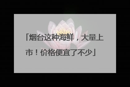 烟台这种海鲜，大量上市！价格便宜了不少