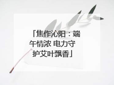 焦作沁阳：端午情浓 电力守护艾叶飘香