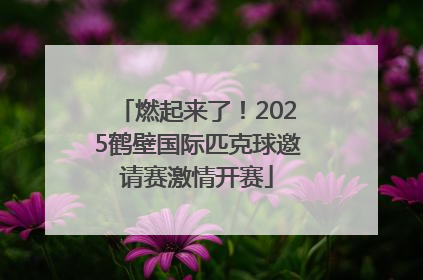 燃起来了！2025鹤壁国际匹克球邀请赛激情开赛