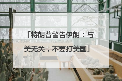 特朗普警告伊朗：与美无关，不要打美国