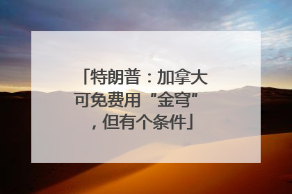 特朗普：加拿大可免费用“金穹”，但有个条件