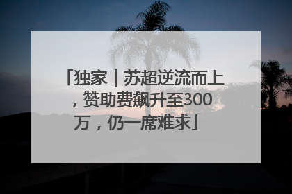 独家｜苏超逆流而上，赞助费飙升至300万，仍一席难求