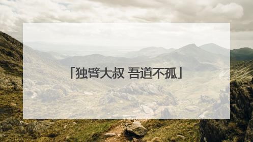 独臂大叔 吾道不孤