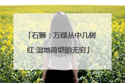 石狮：万绿丛中几树红 湿地荷塘韵无穷