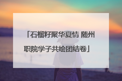 石榴籽聚华夏情 随州职院学子共绘团结卷