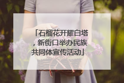 石榴花开耀白塔，新街口举办民族共同体宣传活动