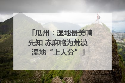 瓜州：湿地景美鸭先知 赤麻鸭为荒漠湿地“上大分”