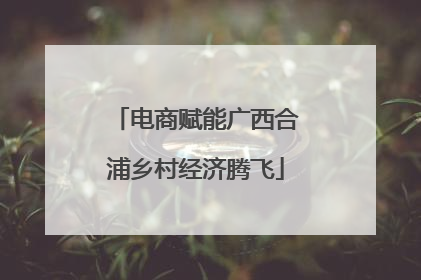 电商赋能广西合浦乡村经济腾飞