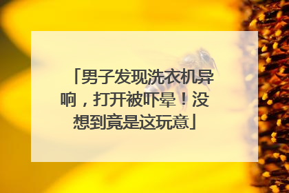 男子发现洗衣机异响，打开被吓晕！没想到竟是这玩意