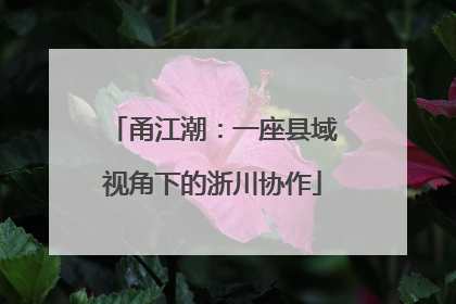 甬江潮：一座县域视角下的浙川协作