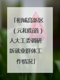 相城高新区（元和街道）人大工委调研新就业群体工作情况