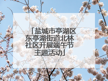 盐城市亭湖区东亭湖街道北林社区开展端午节主题活动