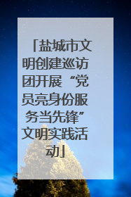 盐城市文明创建巡访团开展“党员亮身份服务当先锋”文明实践活动