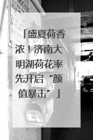 盛夏荷香浓！济南大明湖荷花率先开启“颜值暴击”