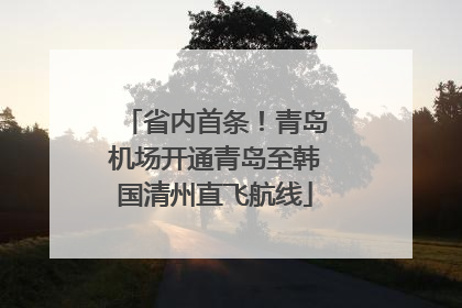 省内首条！青岛机场开通青岛至韩国清州直飞航线