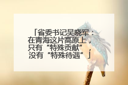 省委书记吴晓军：在青海这片高原上，只有“特殊贡献”，没有“特殊待遇”