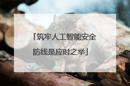 筑牢人工智能安全防线是应时之举