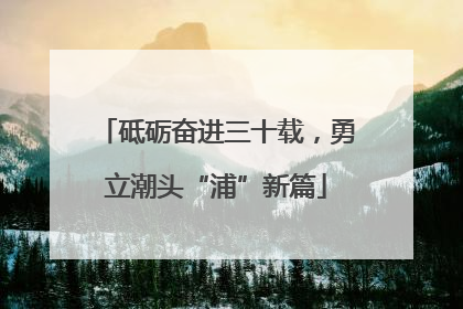 砥砺奋进三十载，勇立潮头“浦”新篇