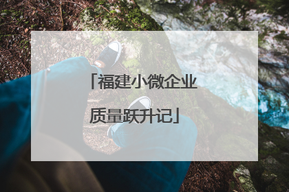 福建小微企业质量跃升记