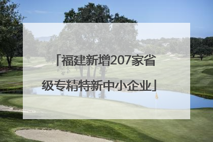 福建新增207家省级专精特新中小企业