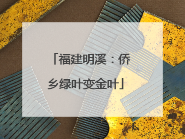 福建明溪：侨乡绿叶变金叶