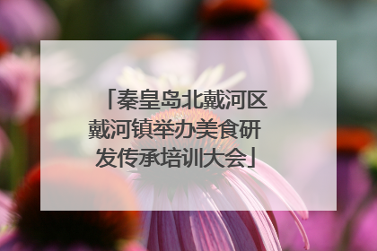 秦皇岛北戴河区戴河镇举办美食研发传承培训大会