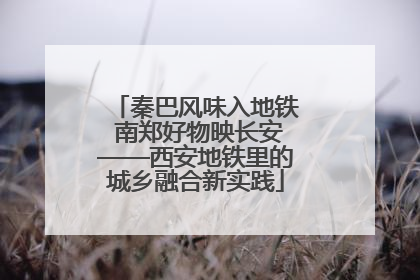 秦巴风味入地铁 南郑好物映长安——西安地铁里的城乡融合新实践