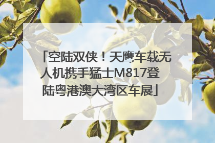 空陆双侠！天鹰车载无人机携手猛士M817登陆粤港澳大湾区车展