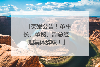 突发公告！董事长、董秘、副总经理集体辞职！