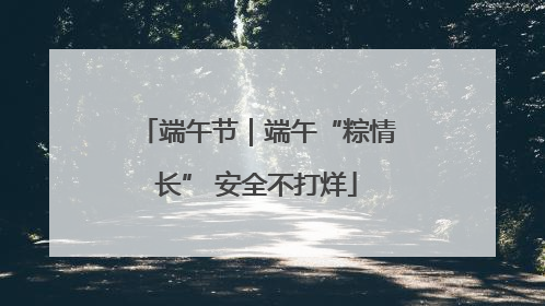 端午节｜端午“粽情长” 安全不打烊