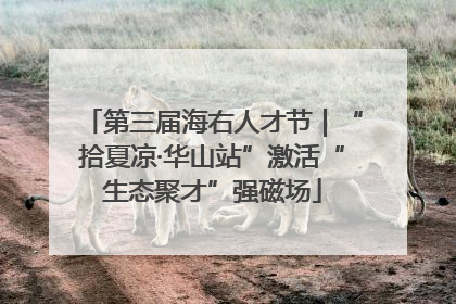 第三届海右人才节｜“拾夏凉·华山站”激活“生态聚才”强磁场
